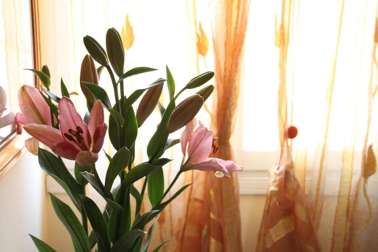 Aparthotel Residence Al Bacareto Mogliano Veneto Italia